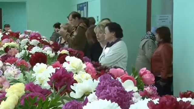 30 06 17 ТК Триада Выставка пионов смотреть онлайн