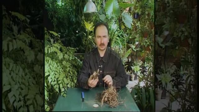 Живая земля - как подготовить к посадке.avi смотреть онлайн