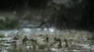 Бони Нем - Не Думай О Секундах С Высока