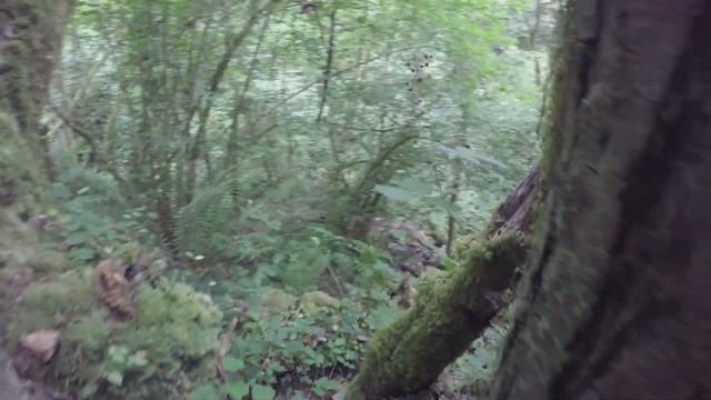 # 150 Испанские Походы. Астурия. Путь Водяных Мельниц. Ruta de los Molinos. Asturias смотреть онлайн