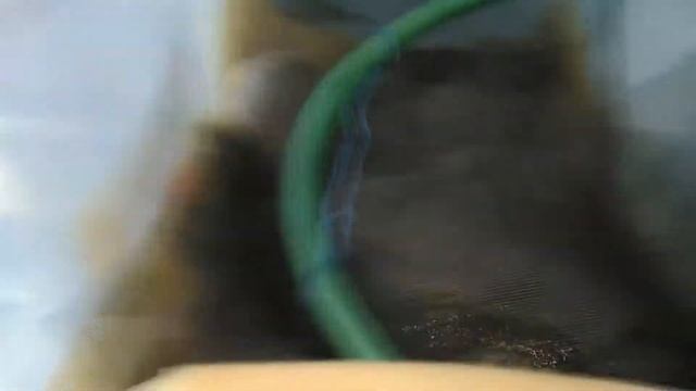 АЭРАЦИЯ в аквариуме, принцип работы помпы компрессора и в природе смотреть онлайн