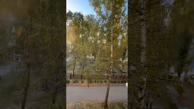 Липецк / 15 микрорайон 4/2 смотреть онлайн