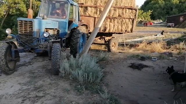 Мтз 80 не может заехать во двор. смотреть онлайн