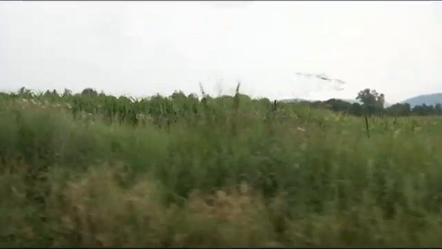 Планета АГРО от 28 июля 2018 год смотреть онлайн