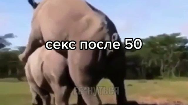 Секс после 50) смотреть онлайн