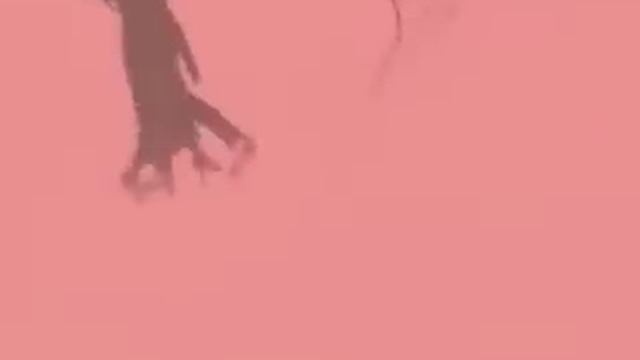 Dances Of The Ragtime Era 1910-1920  | Excerpt From How To Dance Through Time, Vol II