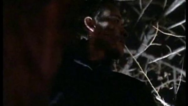 Porsche Lynn - Hodas