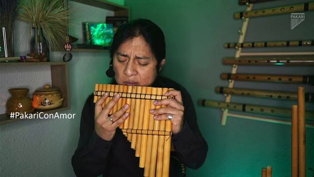 Pakari - Music Of Nature/Native Flute Music🌿