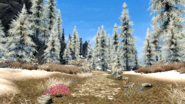 Skyrim (mods) - Spotlight On: Divine Texture Pack - Trees смотреть онлайн