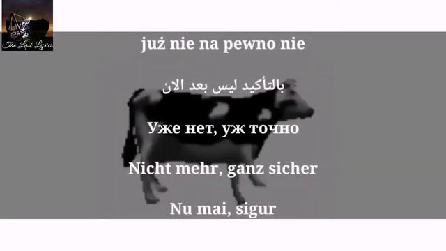 Cypis - Gdzie jest biały węgorz ? مترجمه , Deutsche Übersetzung, Перевод на русский , Versuri român смотреть онлайн