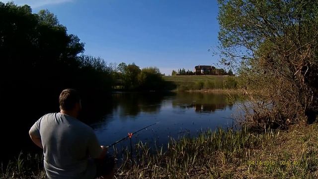 Окунь, густера, плотва, красноперка, подлещик, р Сейм д Якунино, Курский район Курская область смотреть онлайн