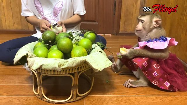 Nouti Judee Try To Annoyng Mom When She Eat смотреть онлайн