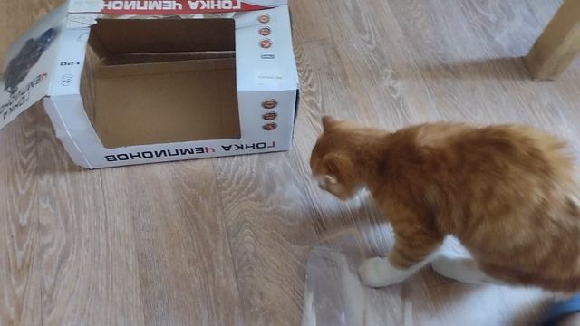 Ломаем домик