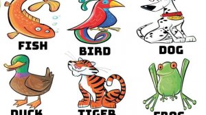 Kid's Box Starter Unit 7 Animal Chant