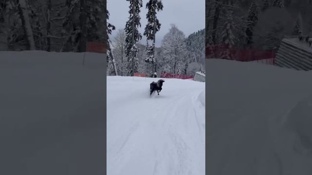  смотреть онлайн