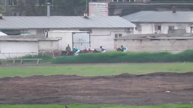 Колд-Гейт скакавший с обладателям приза президента РФ Тайгером Кидом стал третьим смотреть онлайн