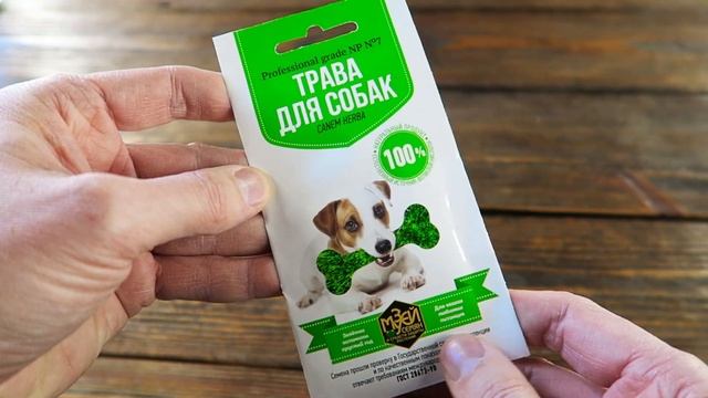 Семена травы для собак ? Снабдит витаминами собак! смотреть онлайн