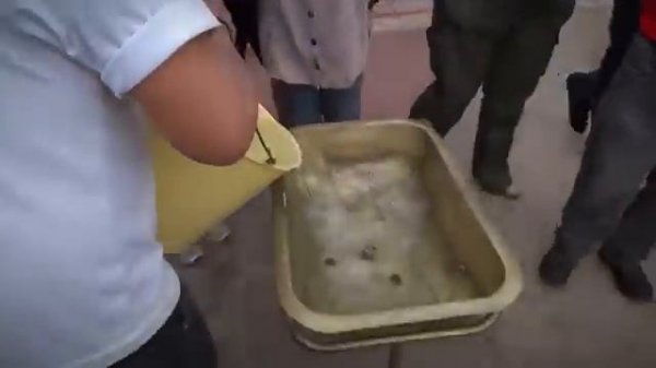 Эксперимент с водой на экваторе