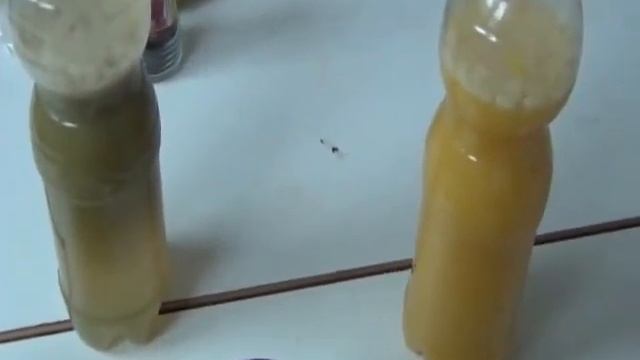 Диета на основе капустного супа.1 день.