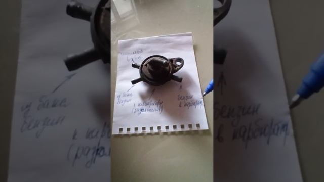 Сузуки сепия зз дымит