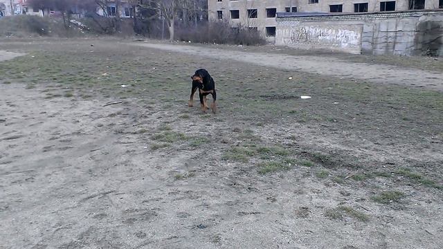 Ротик играет с подружкой смотреть онлайн