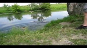 неудачные прыжки с тарзанки