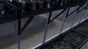 Полка для рассады в теплице своими руками.