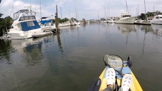 I Had NO BUSINESS Landing this Fish ? Kayak Fishing in Tight Quarters смотреть онлайн
