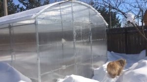 КАКУЮ ТЕПЛИЦУ ВЫБРАТЬ? Плюсы и минусы. ОБЗОР.