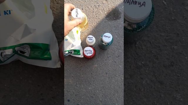 Нематода и корневые гнили смотреть онлайн