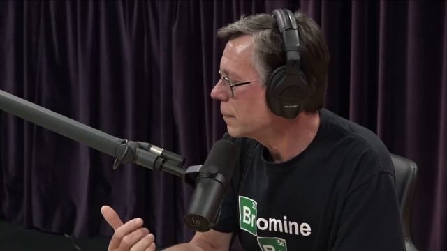 Bob Lazar Says UFO was an Archaeological Finding | Joe Rogan смотреть онлайн