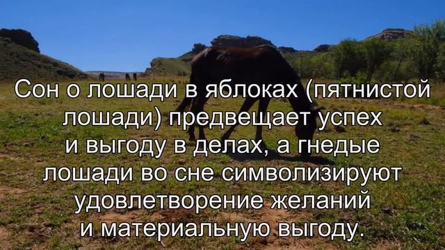 К чему снится Лошадь? Толкование сна по сонникам Фрейда и Ванги смотреть онлайн