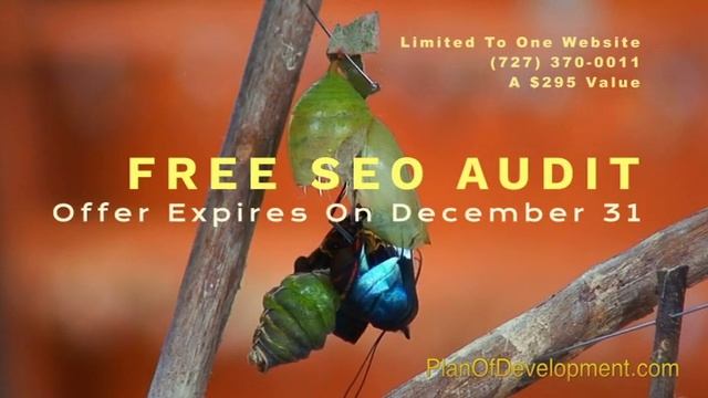 SEO Offer, December 2023 смотреть онлайн