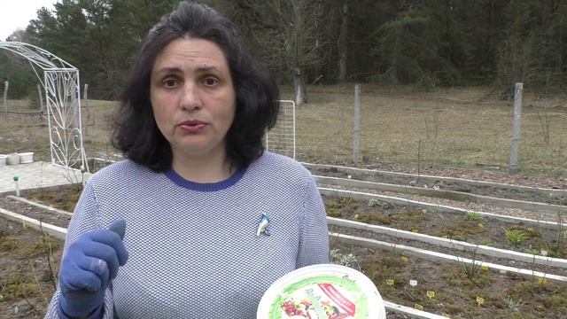 Повышаем плодородие почвы Обрабатываем розы от болезней Весна 2021 смотреть онлайн