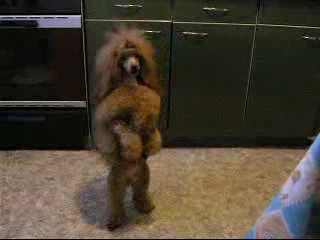 Походочка от бедра!И пошла,и пошла! смотреть онлайн