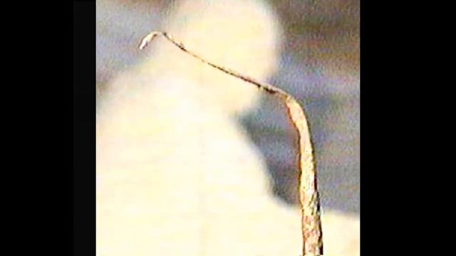 Бенджамин Франклин. Путь из бедности до банкноты 100 долларов США. смотреть онлайн