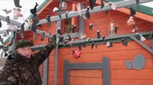 Курятник для круглогодичного содержания птицы с выгулом. Этапы строительства, чертеж.