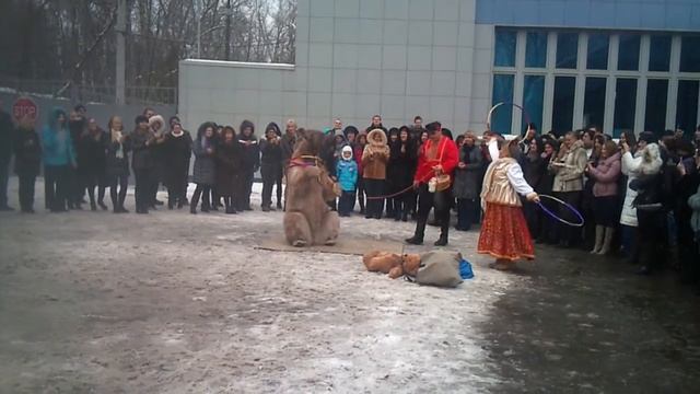 Масленица 2012 Русклимат Медведь смотреть онлайн