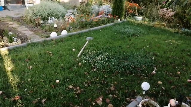 Дача в сентябре. Дела дела дела. смотреть онлайн