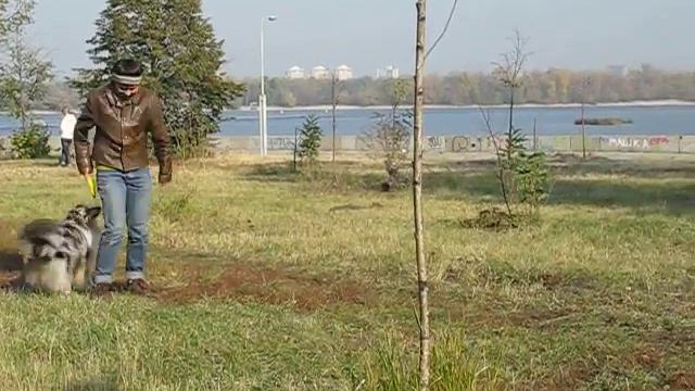 MVI 0539 смотреть онлайн