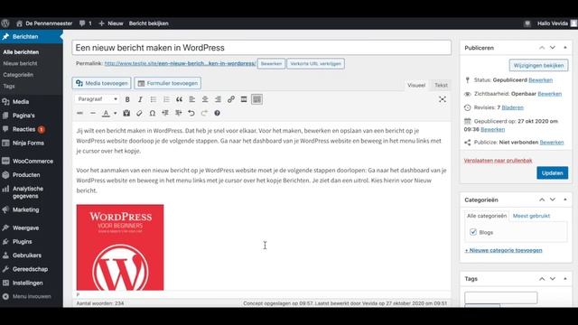 Een PDF toevoegen aan een bericht in WordPress смотреть онлайн