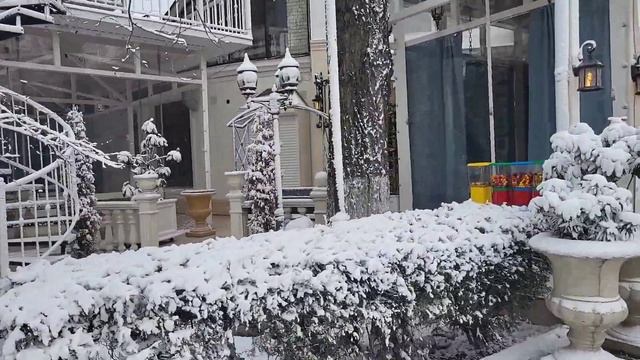 Центральный парк в городе Махачкале. Парк 50-летия Октября. Собачий парк. Лес. Первый снег в парке. смотреть онлайн