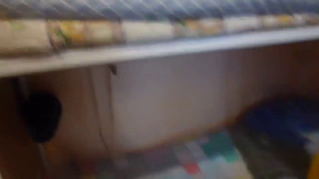 Уничтожение клопов, тараканов, блох, муравьев, ос, комаров, клещей, мокриц.. смотреть онлайн