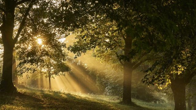 ? Wake up Your Mind and Body with Alpha (12Hz) & Singing Bowl | Monaural Beats for Deep Relaxation смотреть онлайн