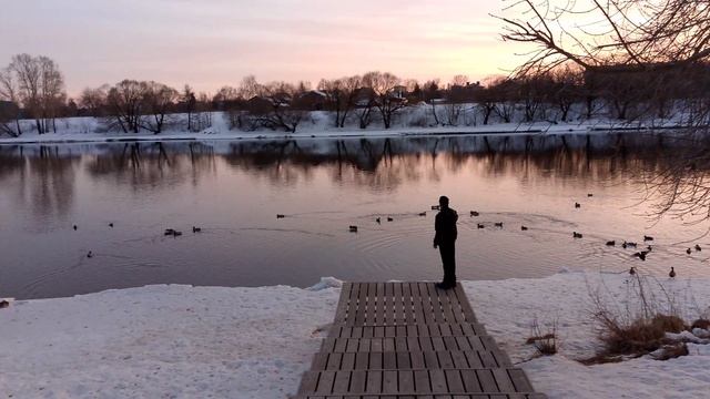 Утки. смотреть онлайн