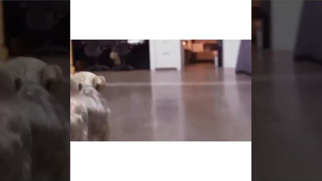 Ariana ♡Lipsy♡ смотреть онлайн