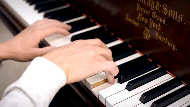 Edelweiss Piano Cover | 1884 Steinway Model D Victorian Rosewood Grand Piano смотреть онлайн
