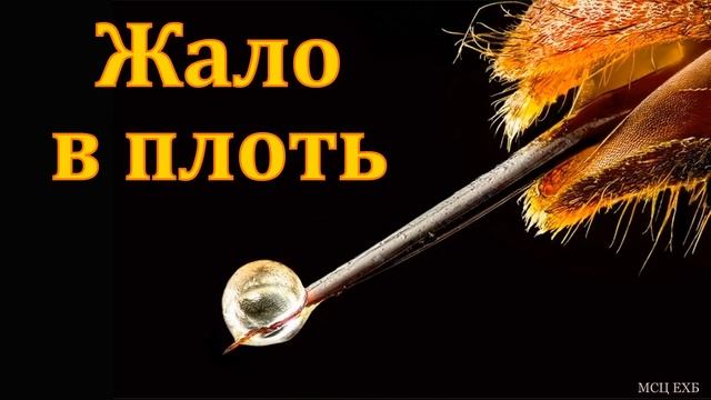 "Жало в плоть". Беседа. В. А. Харитонов. МСЦ ЕХБ смотреть онлайн