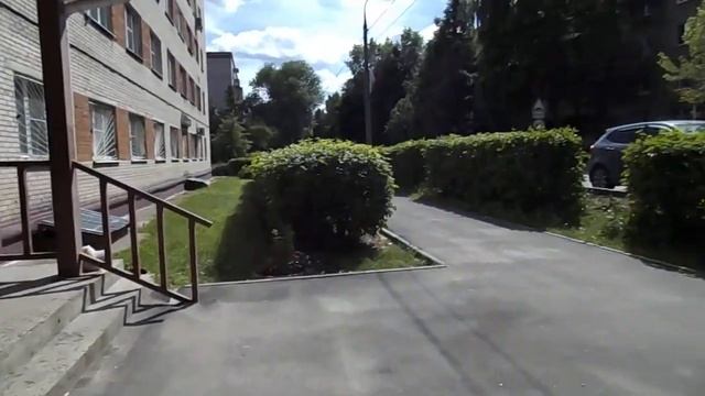 Цветы на клумбах. смотреть онлайн