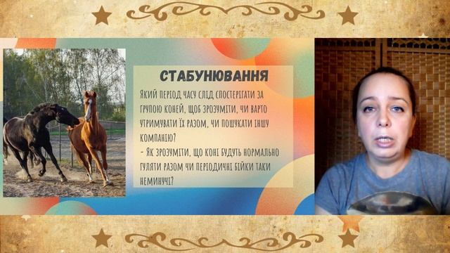 КОНЯЧІ РОЗМОВИ | СТЕРЕОТИПИ ПРО КОНЕЙ | ВІДПОВІДАЄ НАТАЛІЯ ЖУРБІНА смотреть онлайн